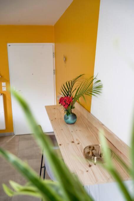 Le Marie-Agnes Appartement Neuf De Standing Fort-de-France Ngoại thất bức ảnh